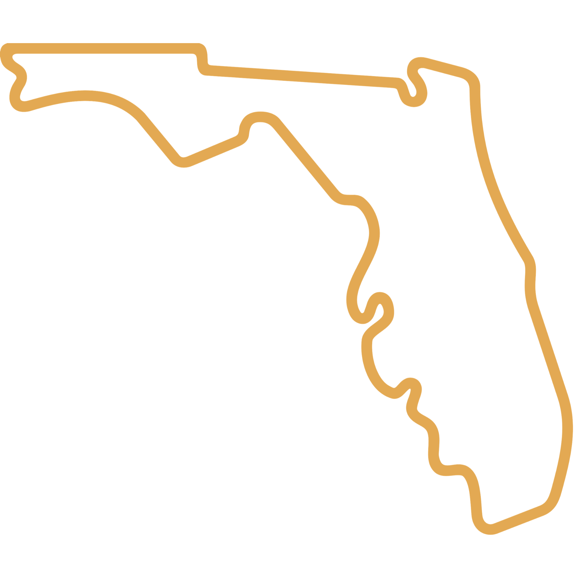 florida icon