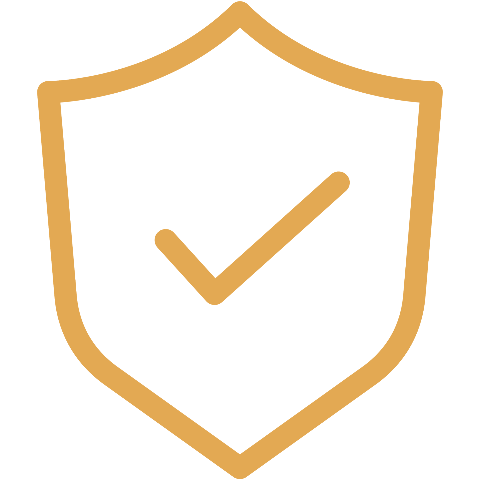 licensed icon